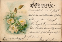 Poesiealbum 1899-1913  von Anna Urner, Langnau 31.3.1903, Frieda Ludescher