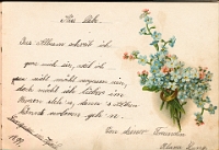 Poesiealbum 1899-1913  von Anna Urner, Langnau April 1899, Deine Freundin Klara Lang