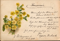 Poesiealbum 1899-1913  von Anna Urner, Langnau 30.1.1908, Elfriede Rock…