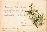 Poesiealbum 1899-1913  von Anna Urner, Langnau Juni 1907, Hedy Staudenmann