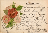 Poesiealbum 1899-1913  von Anna Urner, Langnau 1.4.1903, Deine Freundin Bertha Ziegler, II. Sek.