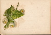 Poesiealbum 1899-1913  von Anna Urner, Langnau