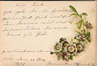 Poesiealbum 1899-1913  von Anna Urner, Langnau 28.3.1899, Deine Freundin … Huber