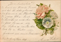 Poesiealbum 1899-1913  von Anna Urner, Langnau März 1899, Anna Huber