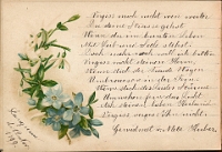 Poesiealbum 1899-1913  von Anna Urner, Langnau 12.11.1899, Meta Huber
