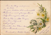 Poesiealbum 1899-1913  von Anna Urner, Langnau 27.11.1899, Hulda Huber