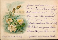 Poesiealbum 1899-1913  von Anna Urner, Langnau 27.11.1899, Seline Huber