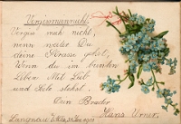 Poesiealbum 1899-1913  von Anna Urner, Langnau 31.1.1901, Dein Bruder Hans Urner