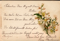 Poesiealbum 1899-1913  von Anna Urner, Langnau Juni 1901, Lussi Standenmaier