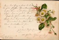 Poesiealbum 1899-1913  von Anna Urner, Langnau 24.2.1901, Mathilde Schwarzenbach
