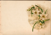 Poesiealbum 1899-1913  von Anna Urner, Langnau