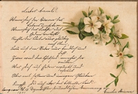 Poesiealbum 1899-1913  von Anna Urner, Langnau 18.12.1901, Deine Freundin Emilie Steiner