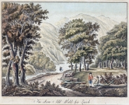 Sihlwald  Im oberen Sihlwald  bei Zuerich kolorierte Radierung von Frederich Leizelt, um 1785