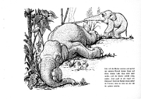 UDO  der kleine Elefant, gezeichnet von Gerd Baur, 1954