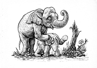 UDO  der kleine Elefant, gezeichnet von Gerd Baur, 1954