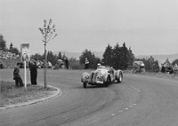 1951 Bergrennen auf den Albis  Daetwyler quer auf Alfa-Romeo 412  Mittelalbis