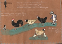 Lehrstück von Frau Frieda Gugolz-Schoch, (1895-1976)  Wirtin im Hirschen auf dem Albispass.  Sie wollte ursprünglich Kindergärtnerin werden.