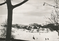 Albis  1960