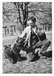Wildpark Langenberg  1960