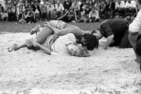 1981  Albis.  Erster Frauenschwinget