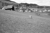 1978  Unteralbis und Haslen