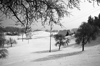 1985  «Vogtshaus» Mittelalbis