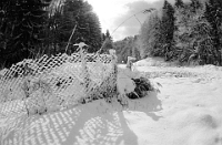 1993  "Streumätteli", oberhalb der Rinderweid