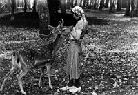 1942  Wildpark Langenberg