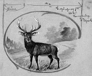 1900  Vignette als Vorlage zur Langenberg-Ansichtskarte