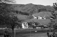 1973  Hasengarten. Heute Beriebsgebäude Wildpark Langenberg