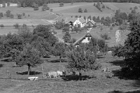 1973  Winterhalden und Unterrengg