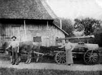 1920  Sigristenfamilie Baumann bei der reformierten Kirche, beim Jauche ausführen