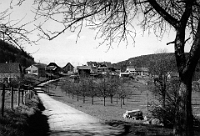 1950  Rütibohlstrasse mit Blick aufs Rütibohl