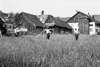 1955  Im Widmer. Landvermessung fürs neue Primarschulhaus