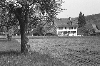 1982  Auf der Fuhr, vor dem Bau des Taubblindenheimes.