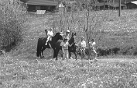 1987  Rengger-Chilbi
