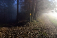 November  Hochwacht