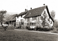 März  1948 / Eggwies