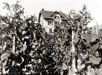Mai  1910 /  Klostermann
