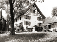 Juli  1909 / Rinderweid