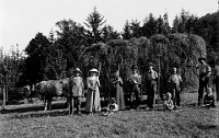 Juli  1920 / Heuet