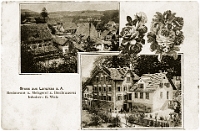 Juli  1920 / Restaurant „Brauerei“