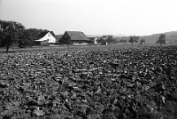 Juni  1.10.1972 / Rengg, Riedacker
