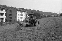 August  7. 9. 1985 / Bauer Syfrig beim Heuen an der Breitwiesstrasse