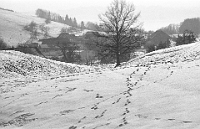 Januar  1.1.1975 / Haeusergruppe im Hinteralbis, Blick von der Birrwaldstrasse