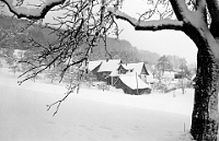 Februar  25.12.1976 / Rinderweid