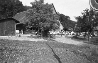 März  5.8.1983 / Im Hoefli, Bauernhaus Syfrig