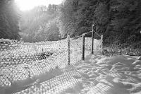 Dezember  19.12.1982 / Natuschutzgebiet Streumätteli
