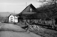 März  1959 / Im Hoefli. Heute überbaut mit der «Vita»-Siedlung