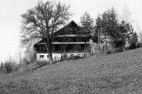 November  6.4.1985 / Kniebreche
